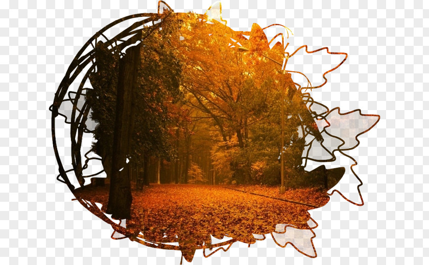 Landscape Painting Autumn Summer Blog PNG