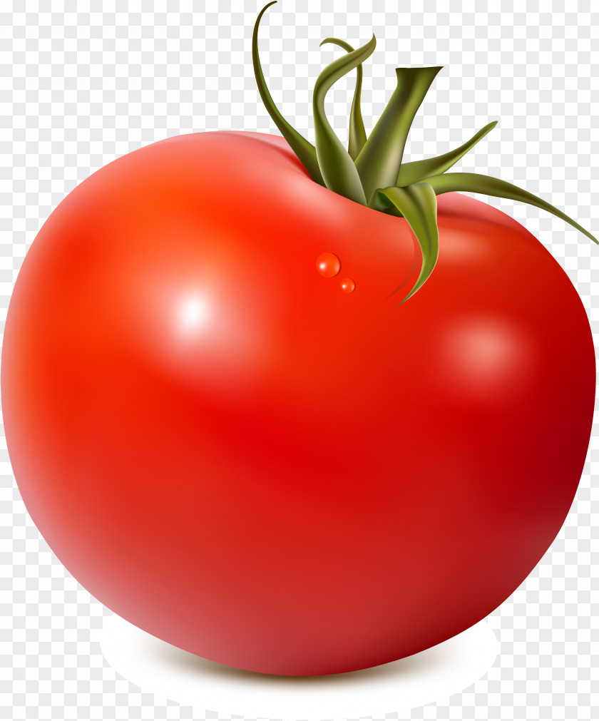 Tomato Soup Juice Clip Art PNG