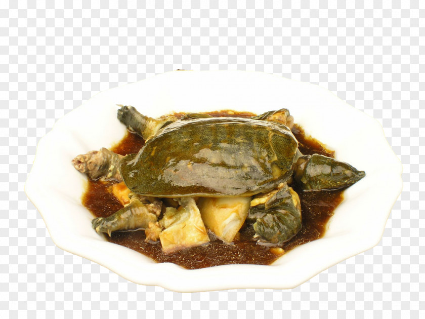 Braised Turtle Picture Material Chinese Softshell Unadon Food Nutrition PNG