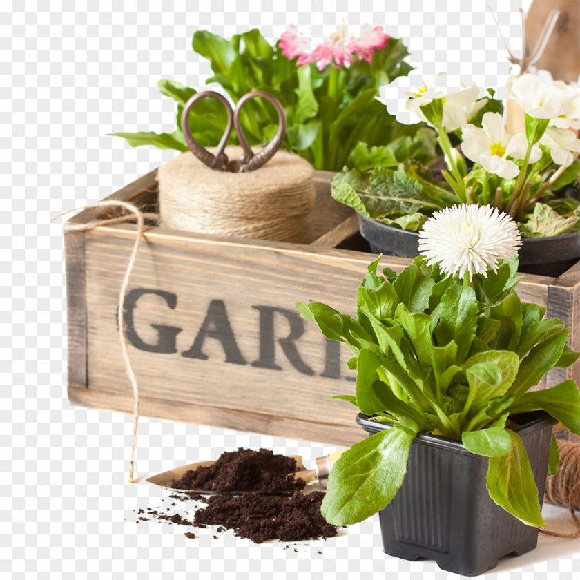 Container Herb Garden Stock Photography Illustration Floral Design Gardening PNG