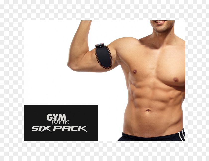 Electrical Muscle Stimulation Rectus Abdominis Bauchmuskulatur Physical Fitness PNG