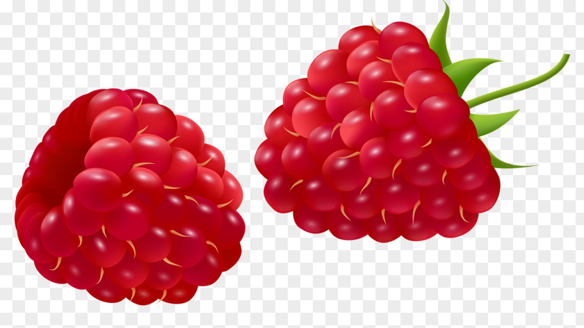 FIG Raspberry Fruit Red Auglis Cartoon PNG