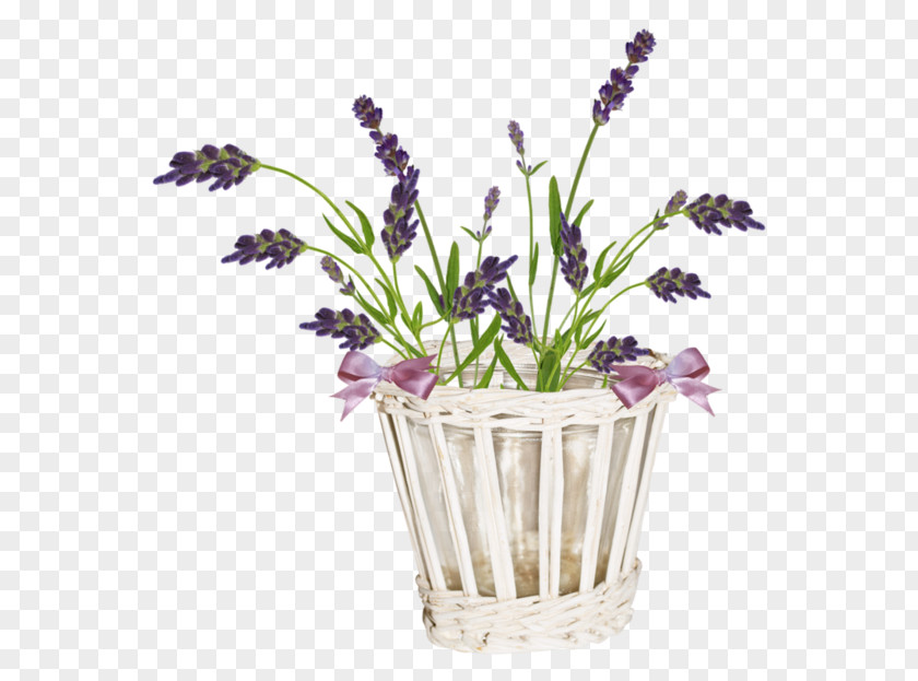 Flower English Lavender French Cut Flowers Violet PNG