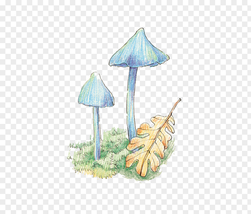 Hand-painted Mushrooms Watercolor Painting Cartoon Colored Pencil Illustration PNG