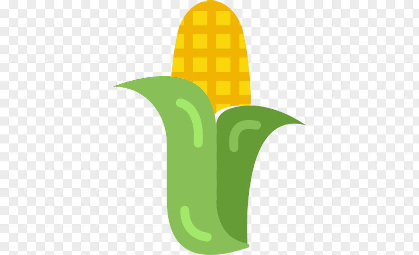 Popcorn Corn On The Cob Organic Food Vegetarian Cuisine PNG