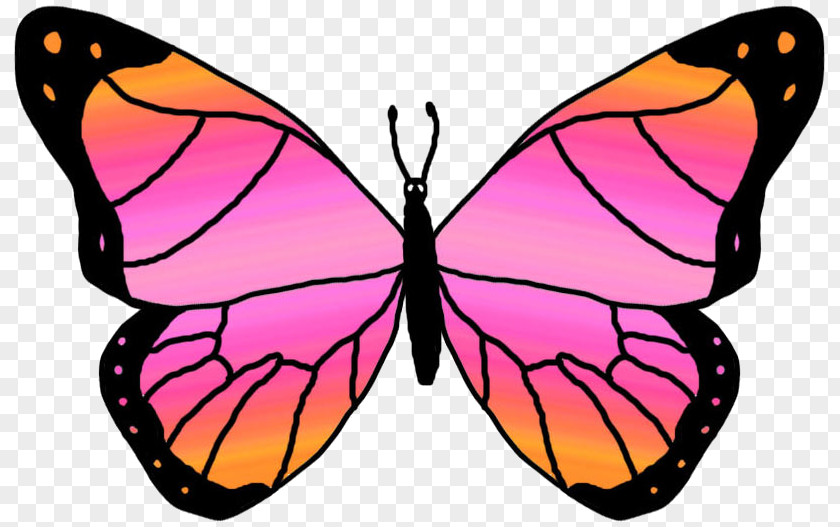 Rainbow Butterfly Cliparts Free Content Clip Art PNG