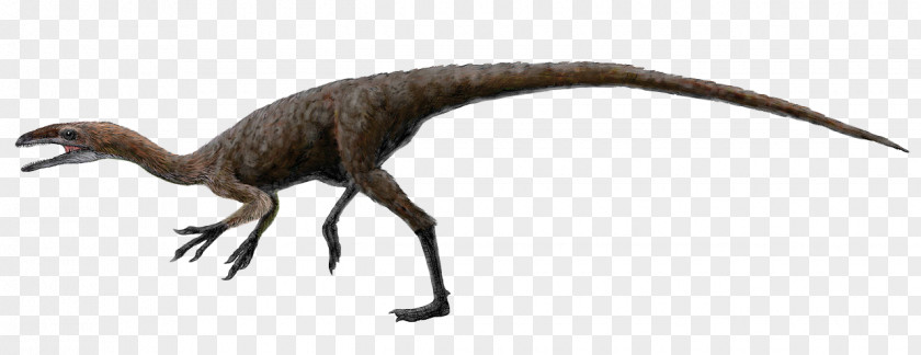 Realistic Cliparts Aristosuchus Sinocalliopteryx Coelurus Barremian Tyrannosauroidea PNG