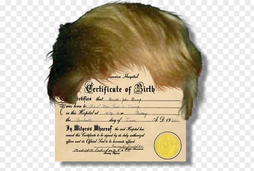 Trump Hair President Of The United States Birth Certificate Template Résumé PNG