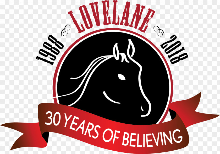 30 Anniversary Lovelane Special Needs Horseback Riding Program Equestrian Equine Therapy Child PNG