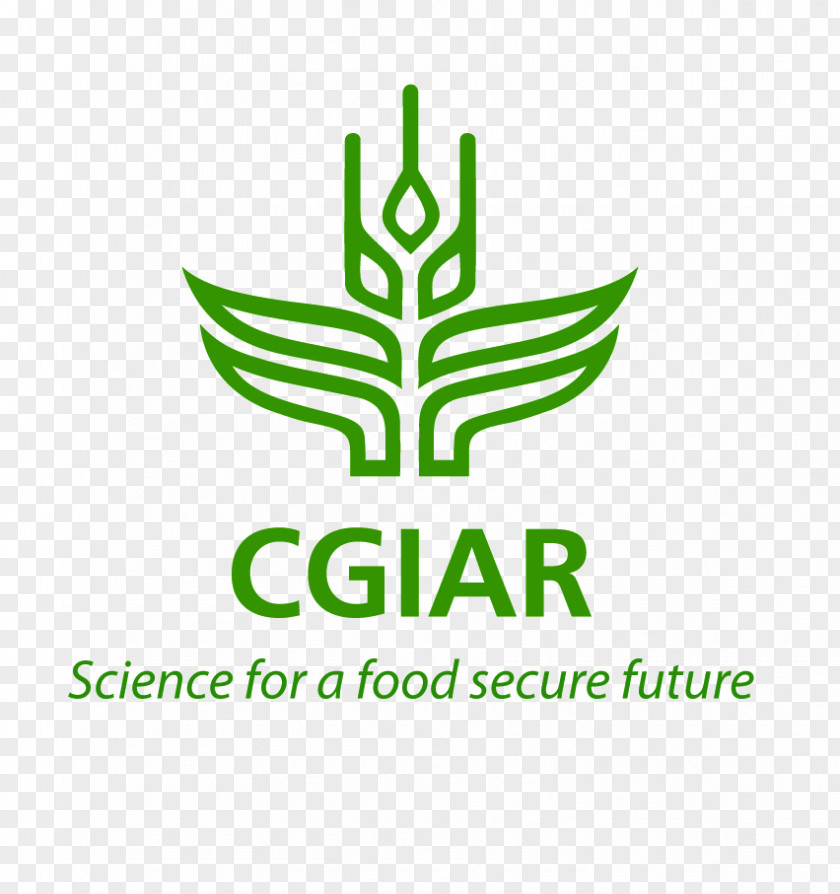Bioethics CGIAR Agriculture International Food Policy Research Institute Livestock PNG