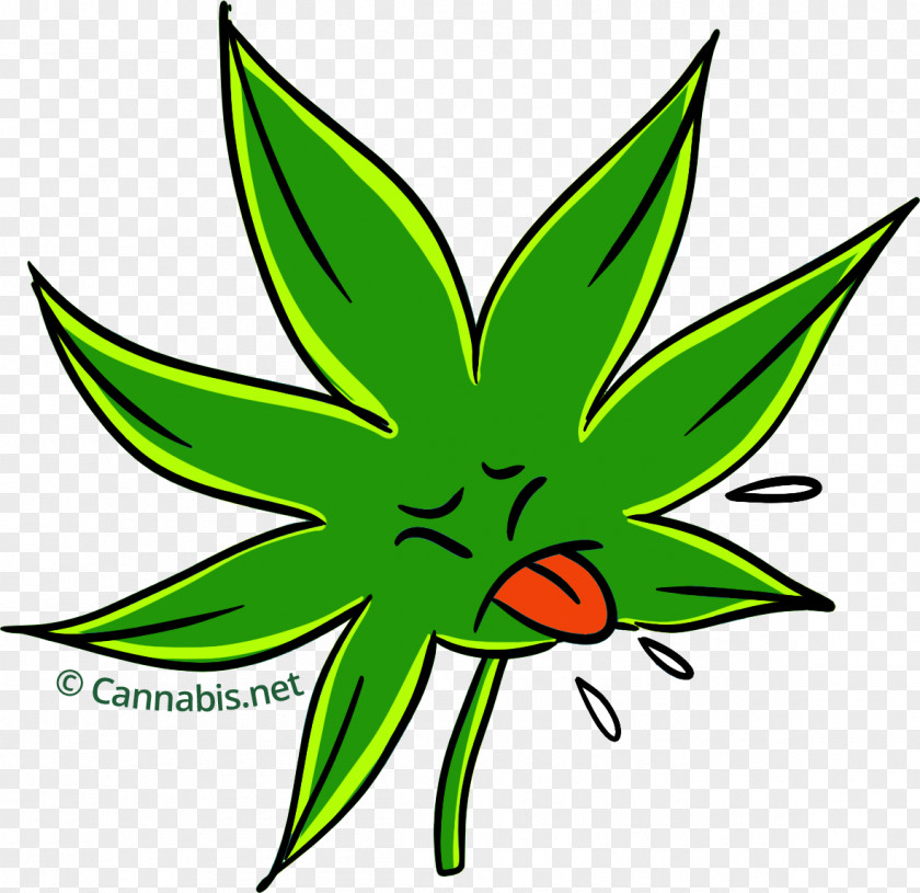 Cannabis Durban Poison Sativa Kush Plant PNG