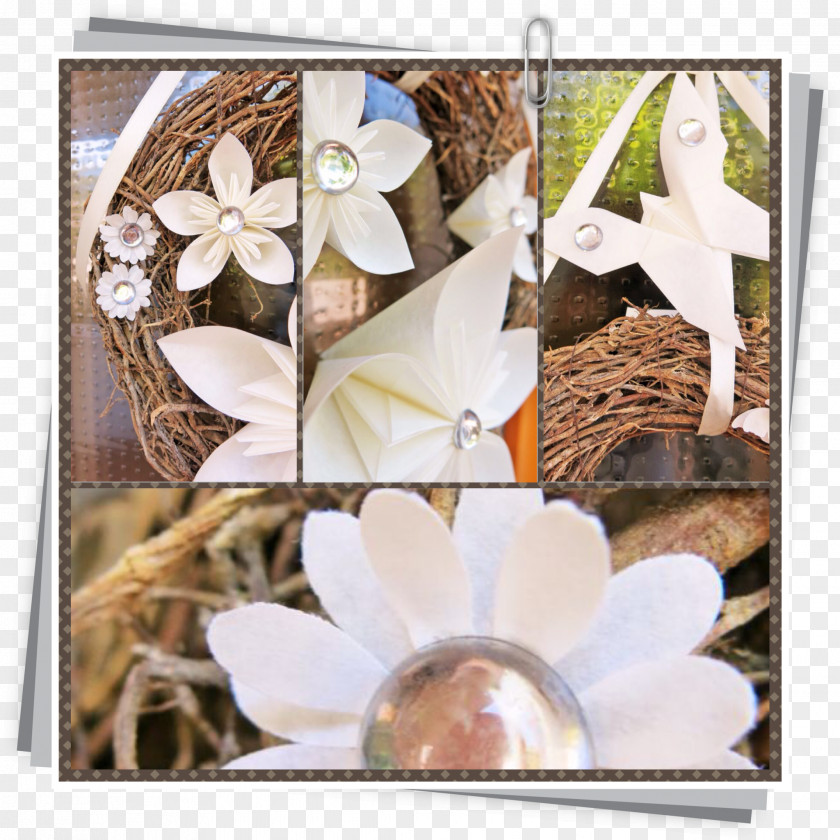 Design Floral Picture Frames Flowering Plant PNG