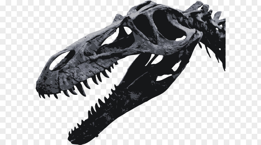 Dinosaur Torvosaurus Tyrannosaurus Maxilla Jaw PNG