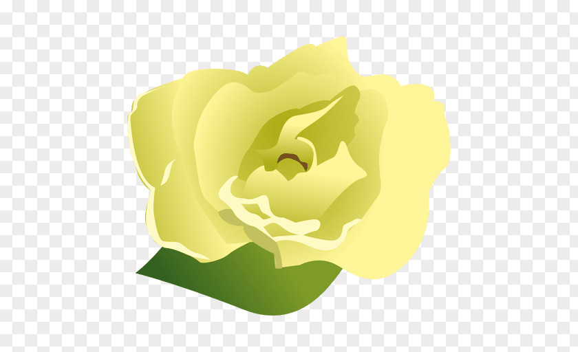 Flower Cape Jasmine Gardenia Taitensis PNG