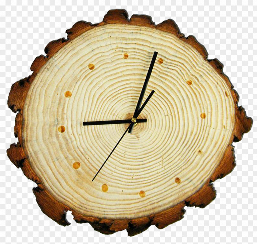 Tree Ring Clock Aastarxf5ngad Wood Stump PNG
