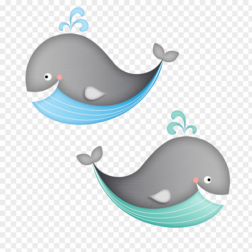 Whale Dolphin Baleen Hippopotamus Clip Art PNG