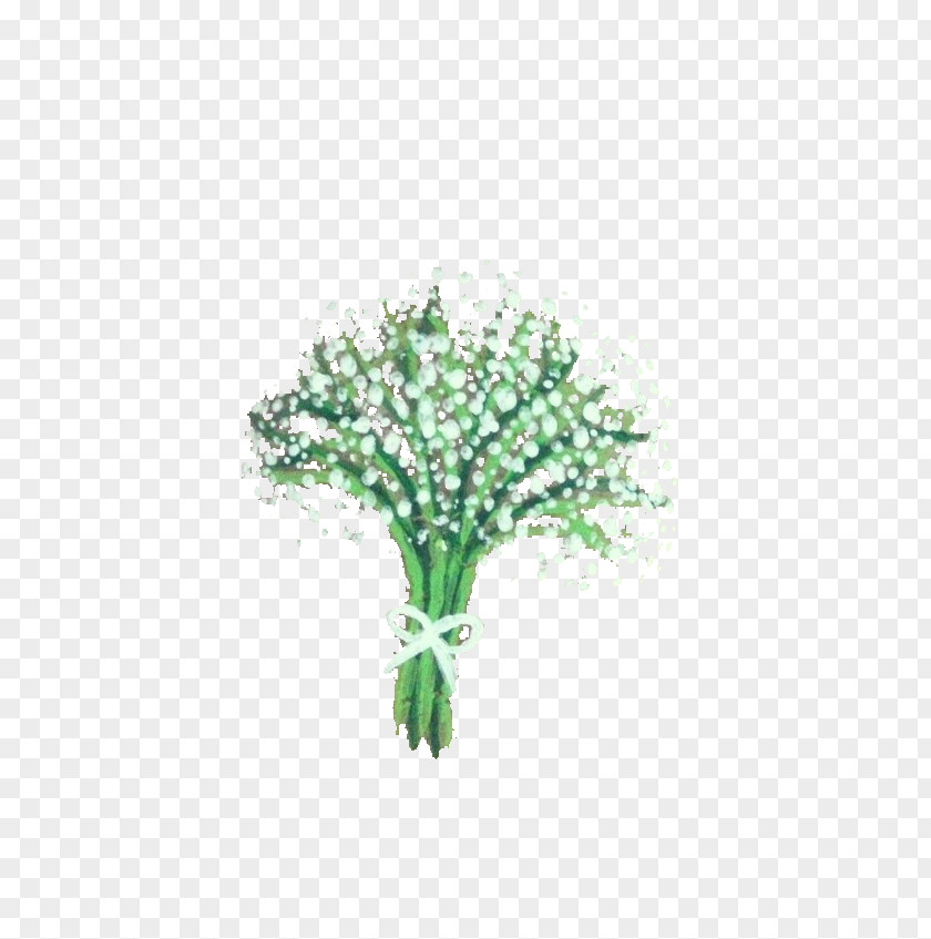 White Dandelion Picture Material Icon PNG