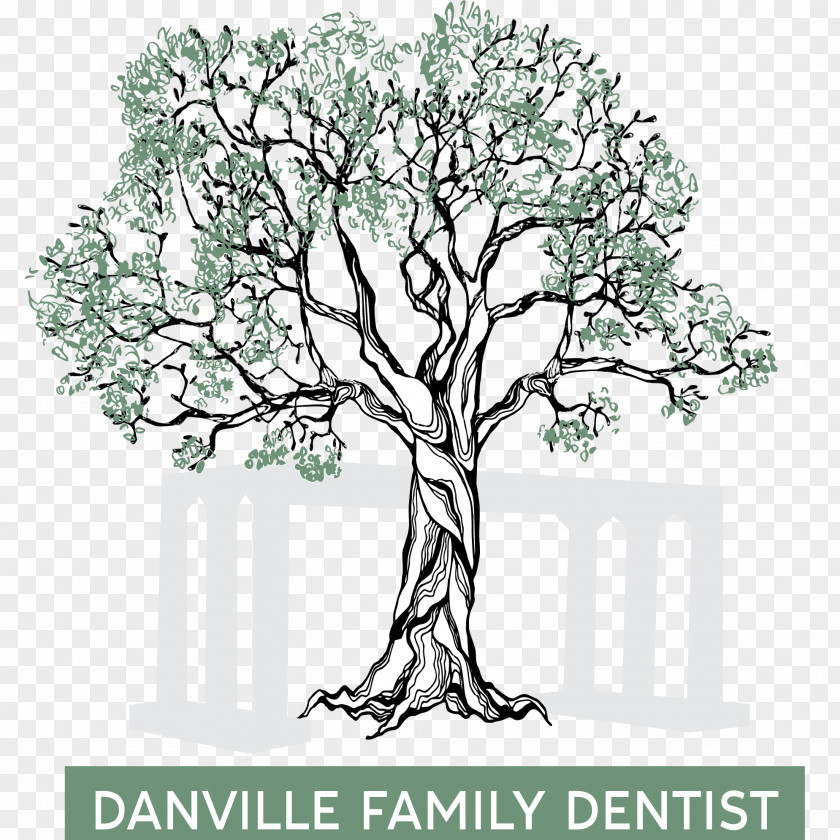 Brian R Adams, DDSOthers Danville Family Dentist: Shailaja Singh, DDS Dentistry Dental Hygienist Livery PNG