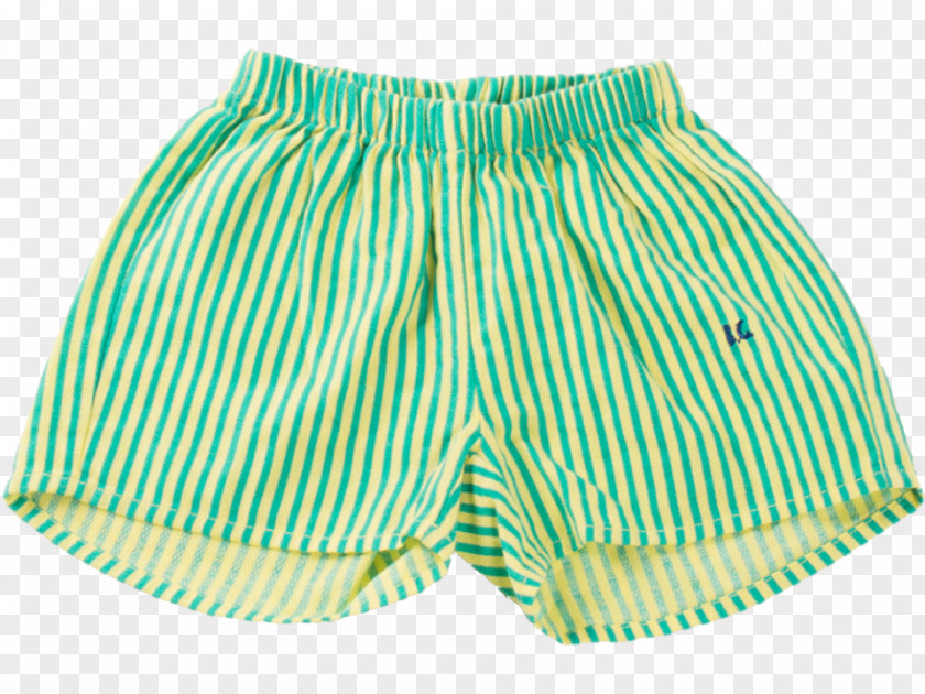 Dress Trunks Shorts Skirt Swimsuit PNG