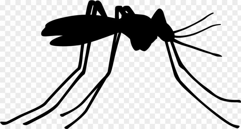 Mosquito Control Insect Pest Vector PNG