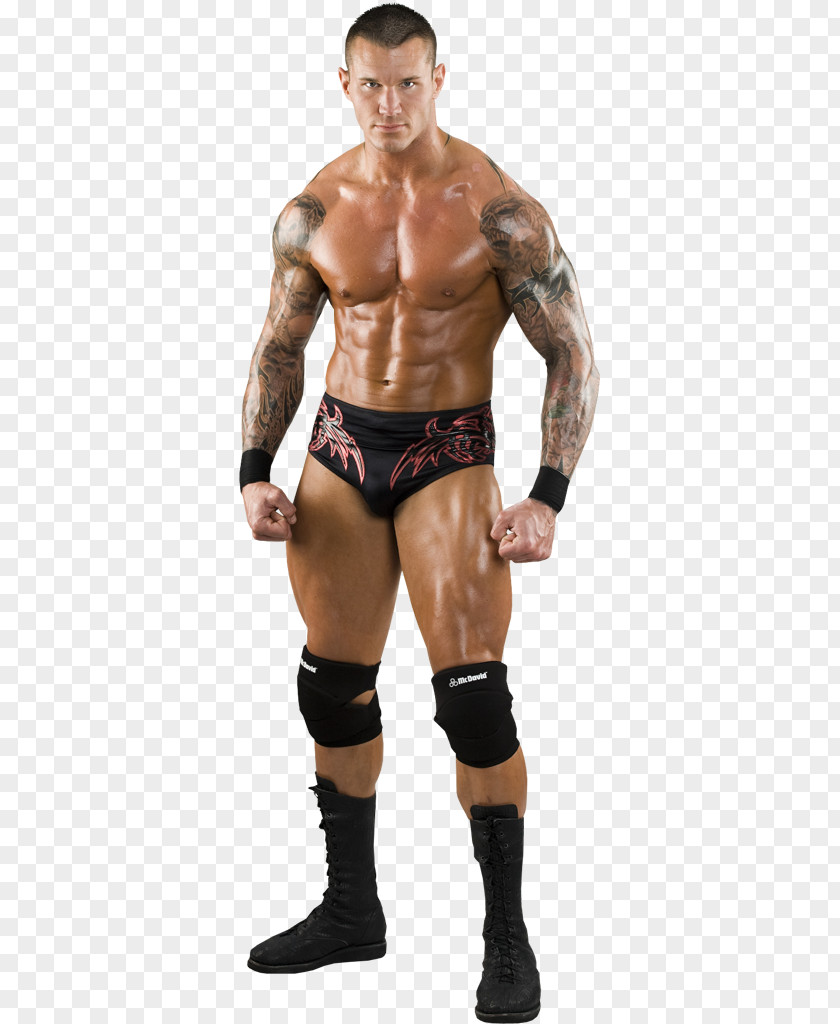 Randy Orton SummerSlam WWE Superstars Professional Wrestling PNG wrestling, randy orton clipart PNG