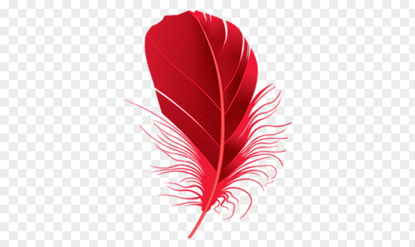 Red Feathers Feather Clip Art PNG
