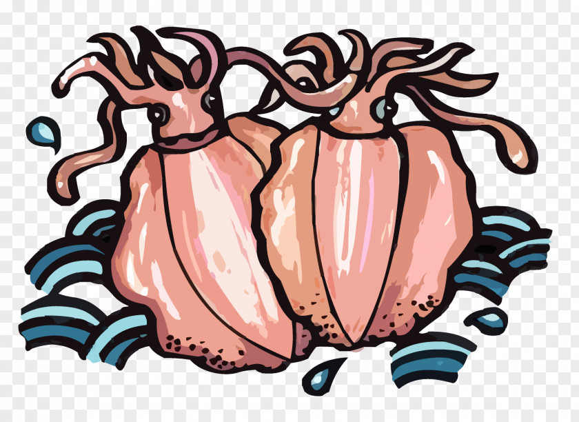 Sea Squid Seafood As Food Cartoon PNG