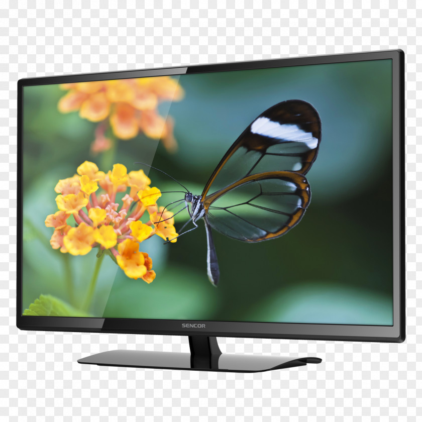 Tv LED-backlit LCD HD Ready USB Light-emitting Diode Display Resolution PNG