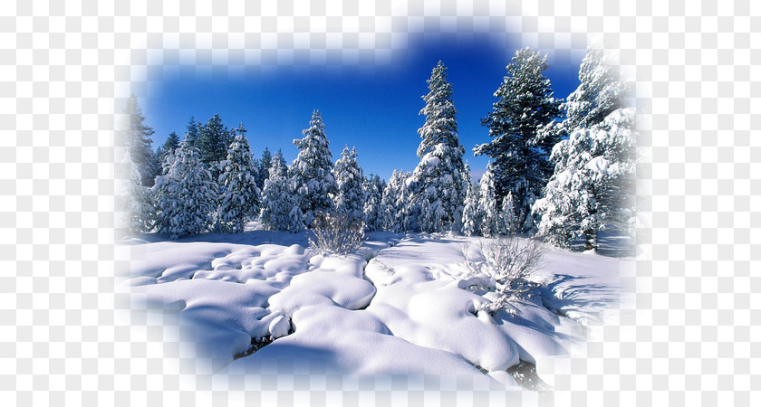 Winter Desktop Wallpaper Photography PNG