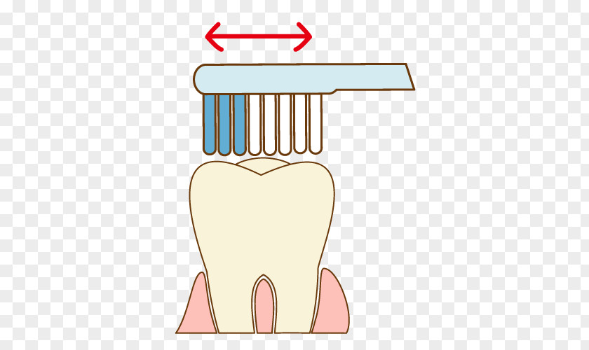 Clean Teeth Tooth Jaw Finger Clip Art PNG