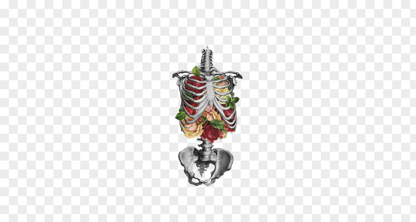 Creative Hand-painted Skeleton Flower Human Lung Anatomy Skull PNG
