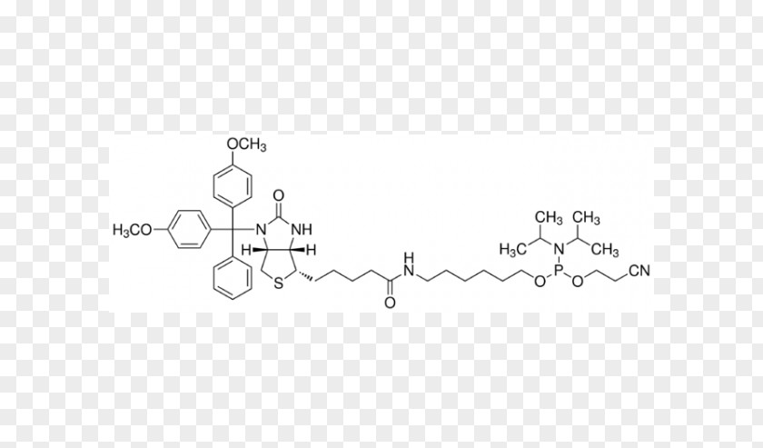 Endorphins Enkephalin Glückshormone Molecule Dopamine PNG