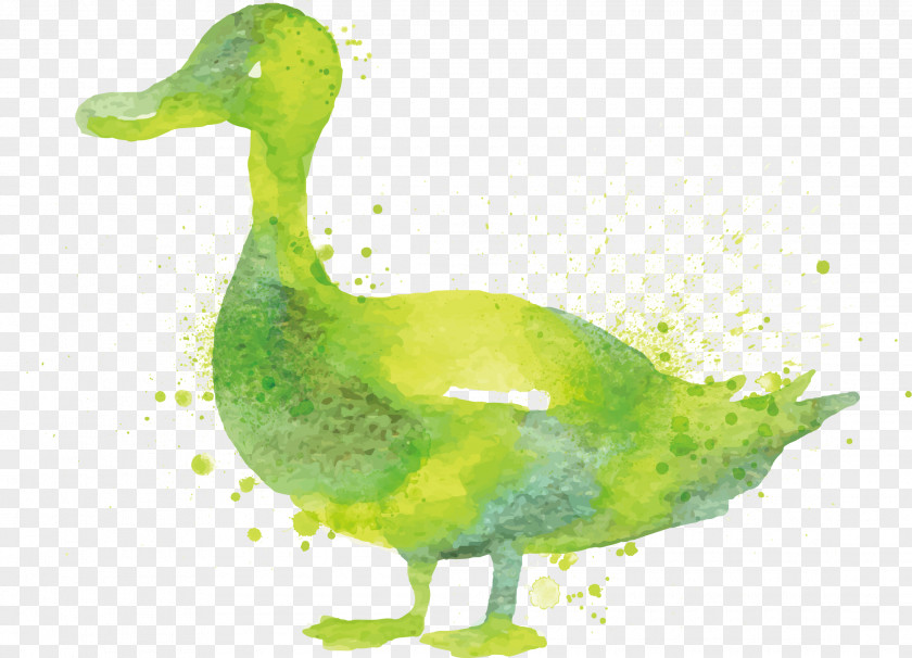 Green Duck Vector Goose Watercolor Painting PNG