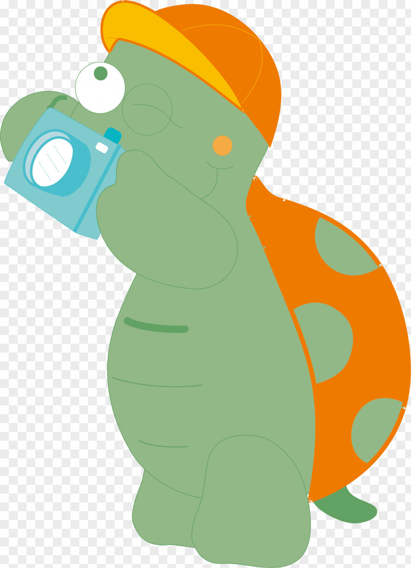 Green Turtle Vector Illustration PNG