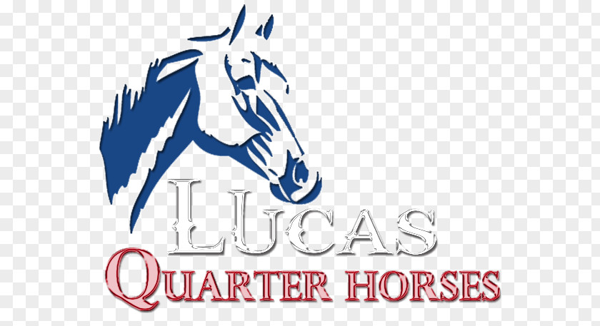 Quarter Horse American Association Mare Stallion Dog PNG
