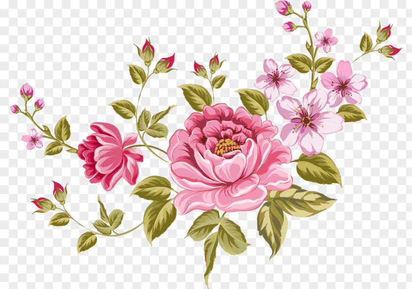 Rose Clip Art PNG