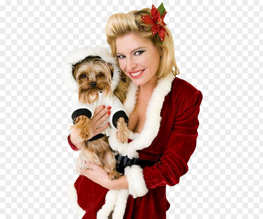 Santa Claus Mrs. Christmas Ornament Dog Breed PNG