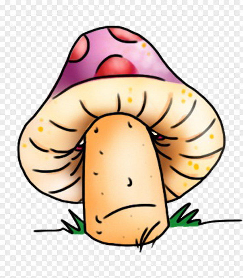 T-shirt Edible Mushroom Neckline PNG