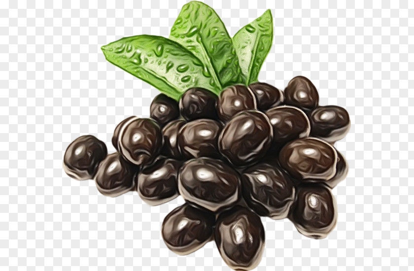 Chocolate PNG