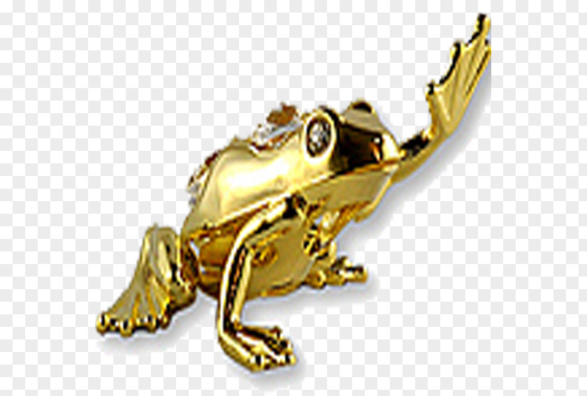 Golden Frog Panamanian Toad PNG