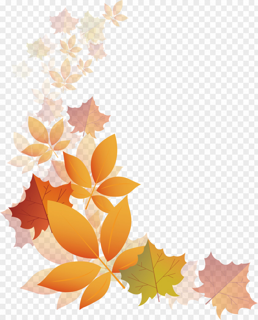 Translucent Autumn Leaves Transparency And Translucency PNG