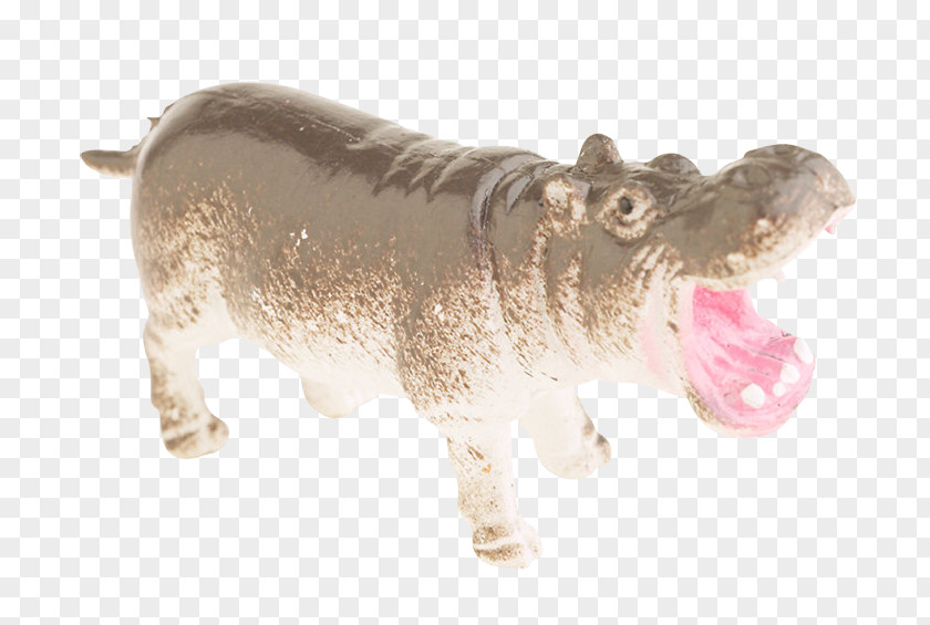 Cat Hippopotamus Cattle Nissan PNG