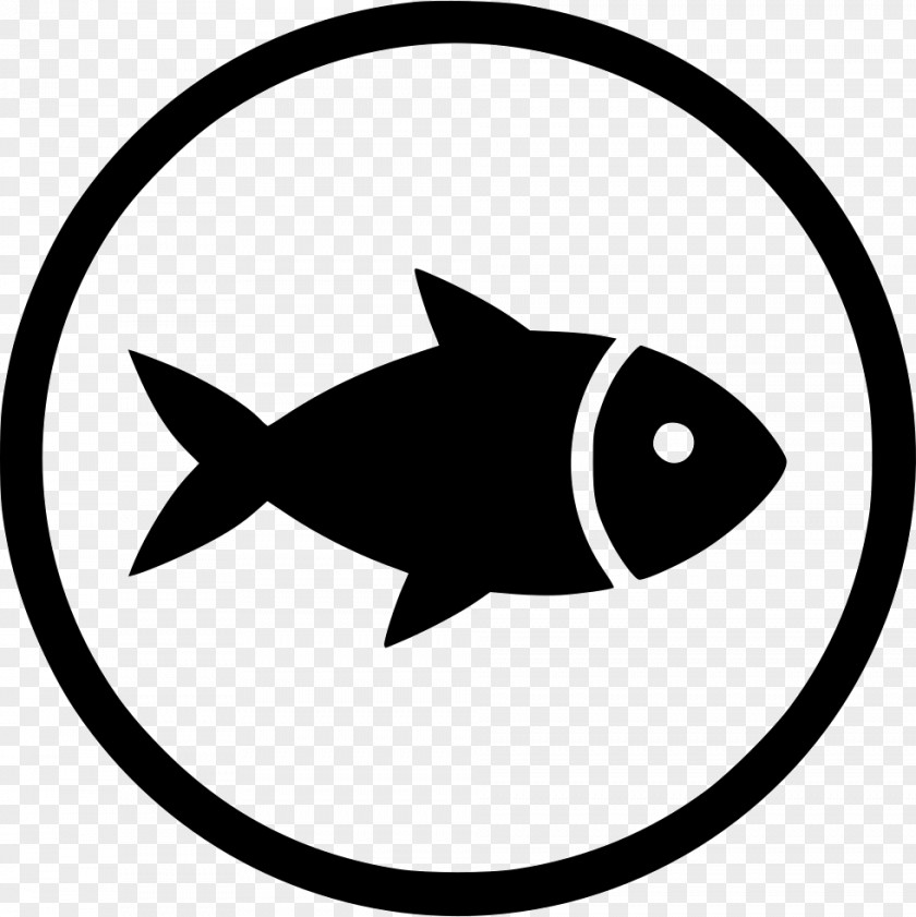 Fish Art PNG