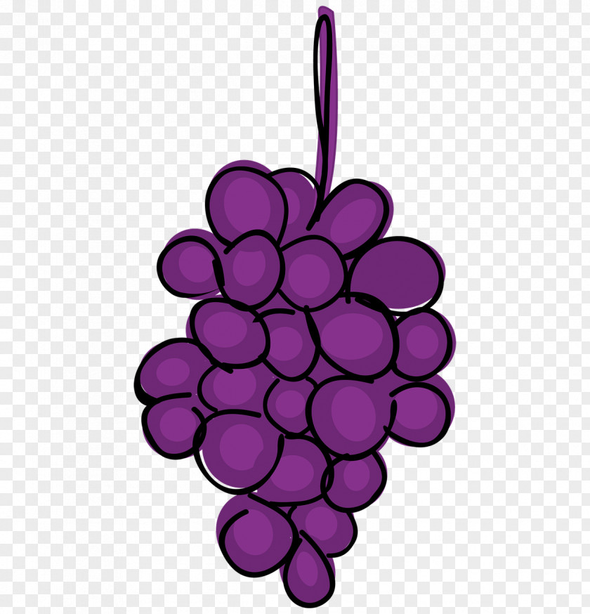 Grape Animation Wine Image PNG