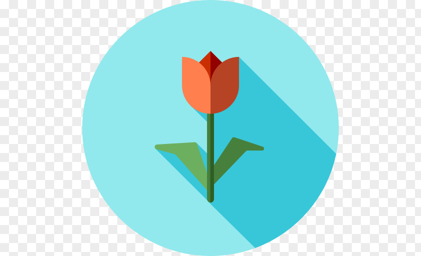 Tulipan Clip Art PNG