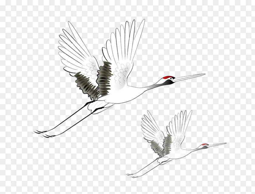 White Crane Ink Wash Painting Graphic Design PNG