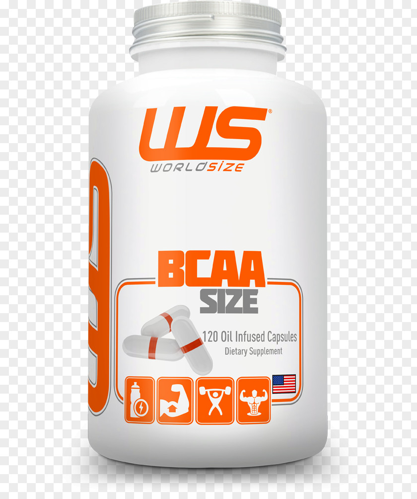Bcaa Dietary Supplement Branched-chain Amino Acid Whey Protein Capsule PNG