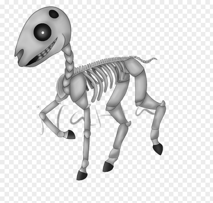 Horse Skeleton Joint PNG