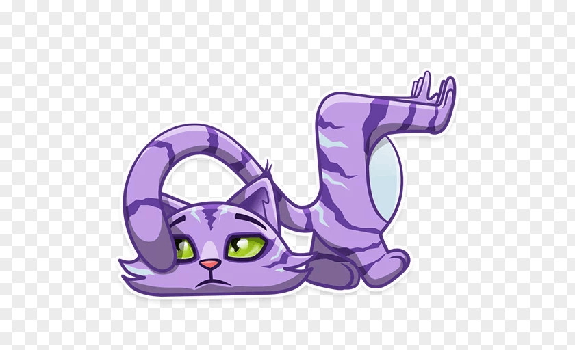 Kitten Whiskers Cheshire Cat PNG