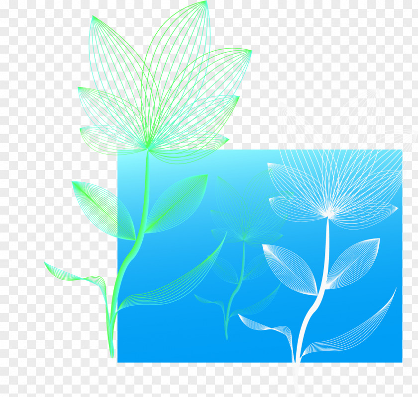 Leaf Green Turquoise Desktop Wallpaper PNG